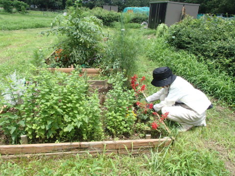 大谷田花の会 - 1