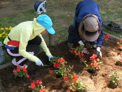 かめいど花の会 - 4