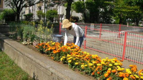 かめいど花の会