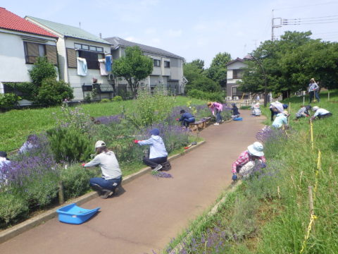 宇喜田公園ハーブボランティア - 3