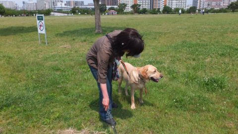 公園をきれいにするボランティア