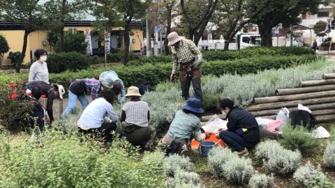 東綾瀬公園ハーブボランティア