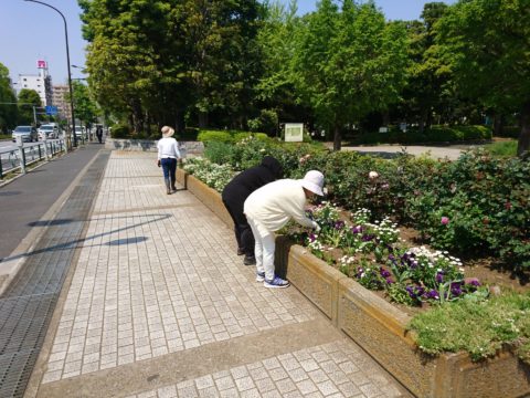 猿江恩賜公園友の会（花の会） - 3