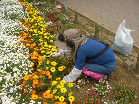 かめいど花の会 - 3