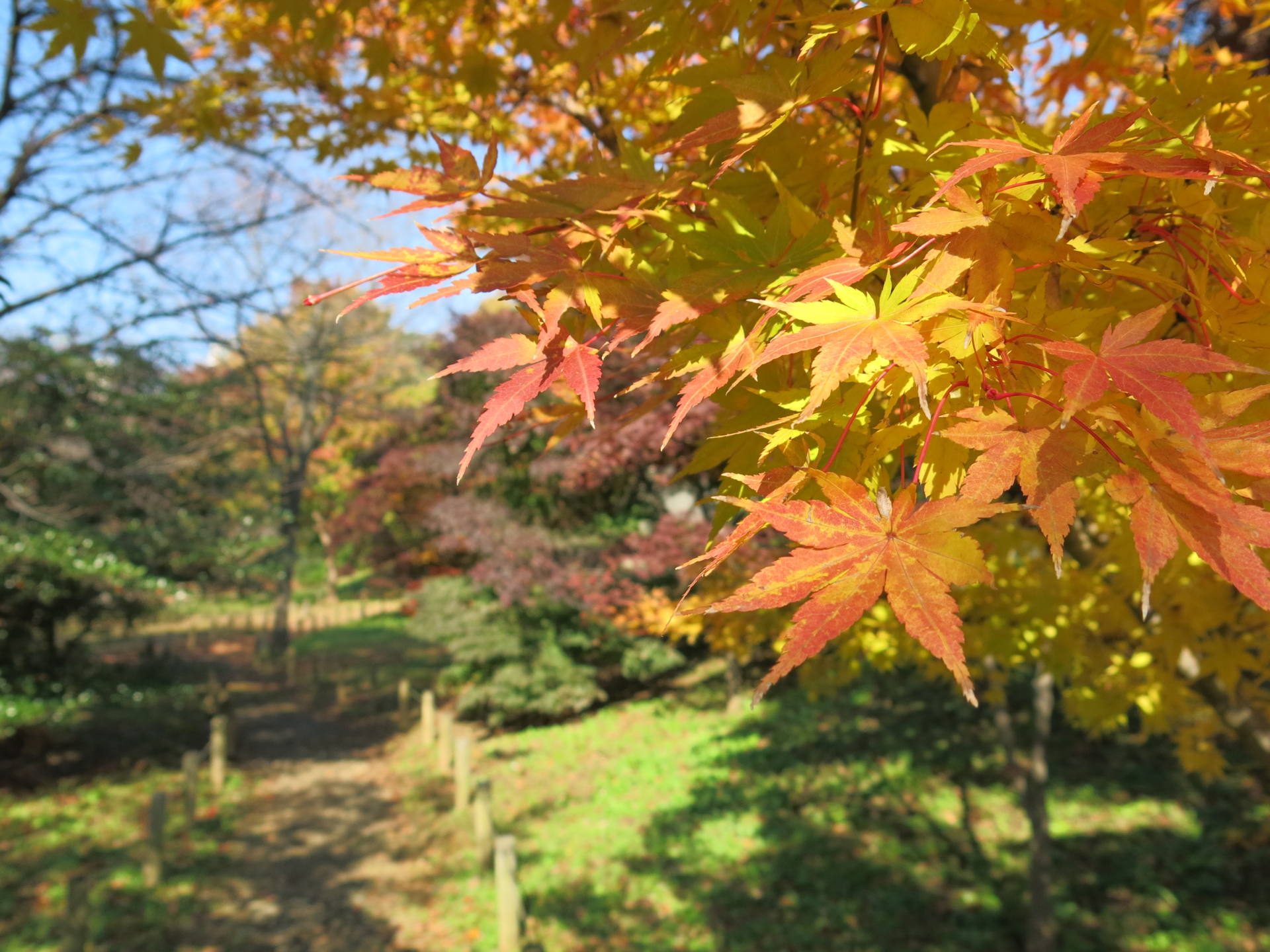 中川公園