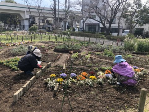 東綾瀬公園ハーブボランティア - 1