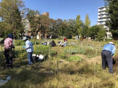 東綾瀬公園ハーブボランティア - 2