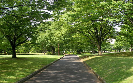 亀戸中央公園 イメージ画像