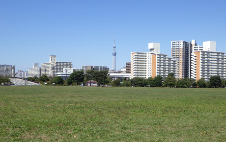 大島小松川公園 イメージ画像