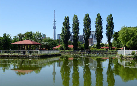 猿江恩賜公園 イメージ画像