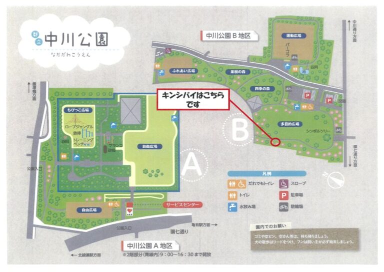 20260522キンシバイはこちらですのサムネイル