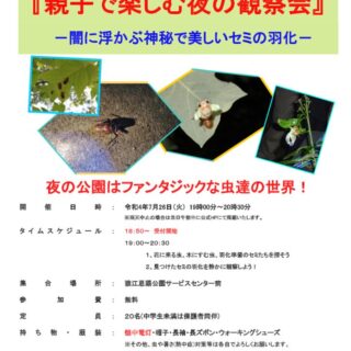 セミの羽化観察会（猿江）のサムネイル