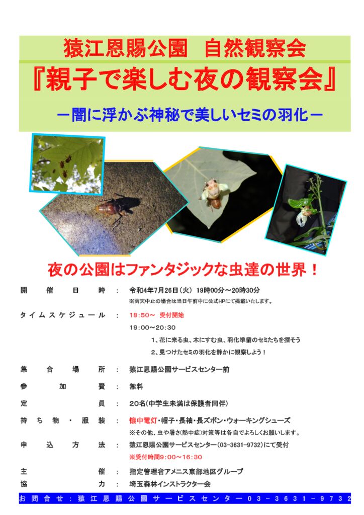 セミの羽化観察会（猿江）のサムネイル