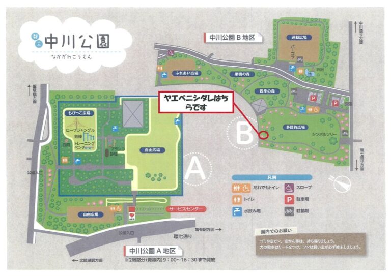 20260330ヤエベニシダレ）のサムネイル