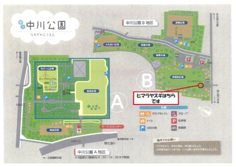 202608中川ヒマラヤのサムネイル