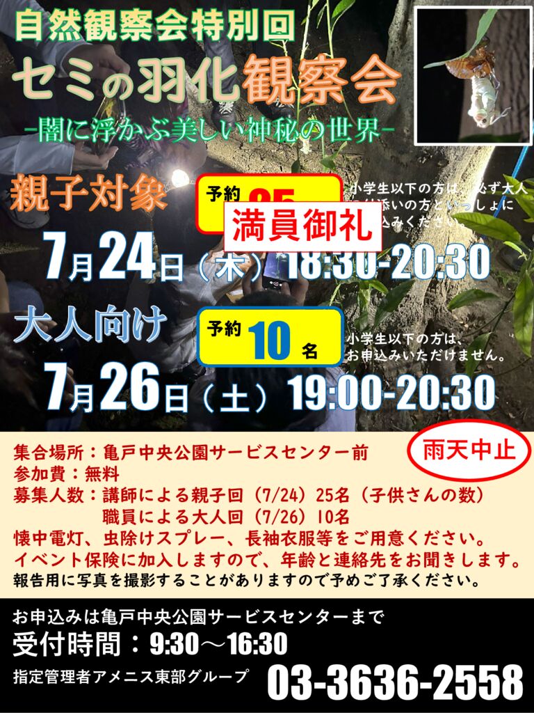 R7.セミの羽化_満員のサムネイル