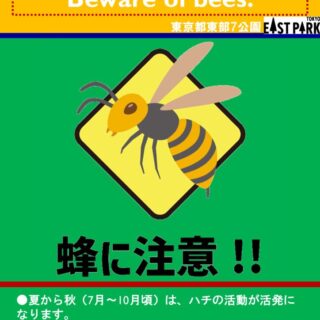 ハチのポスター2025のサムネイル