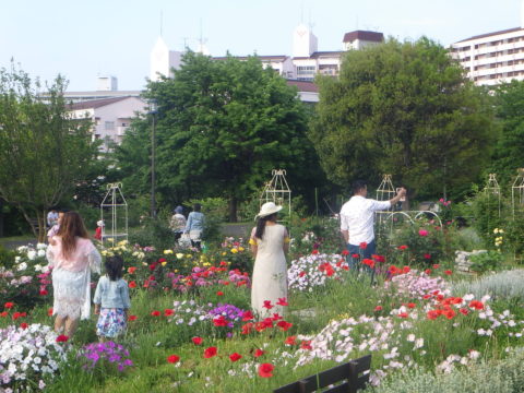 大島小松川公園ガーデンボランティア - 4