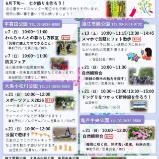 6月のイベント情報