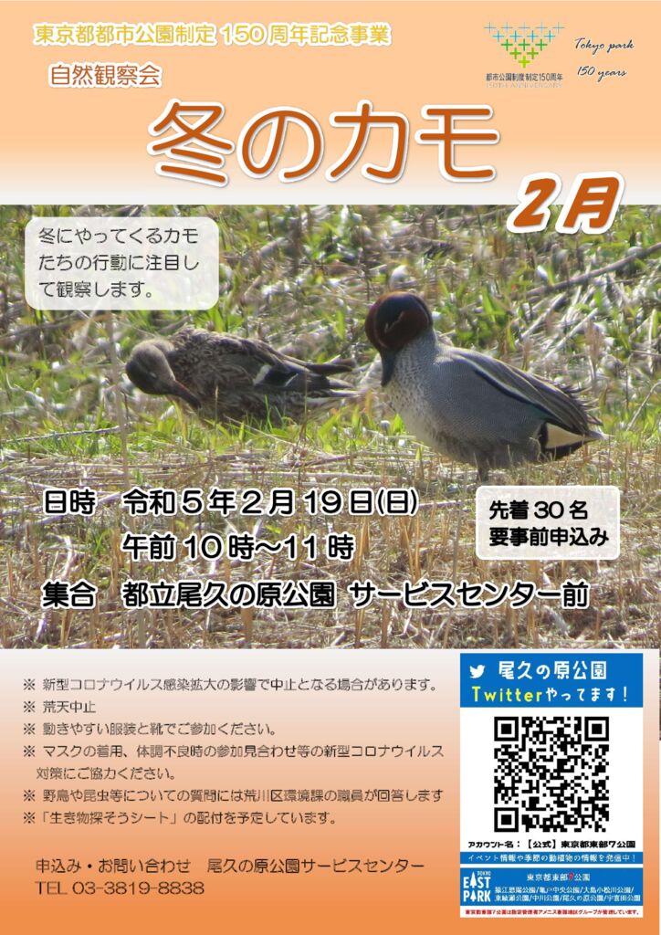 バードのサムネイル