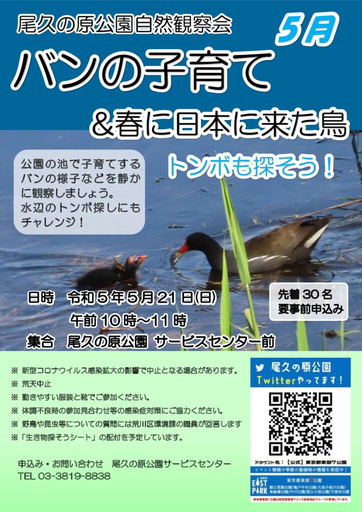 R050521都立尾久の原公園自然観察会ポスターのサムネイル