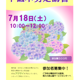 【尾久の原公園】7月18日 中低木剪定講習
