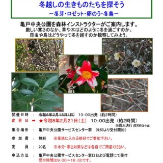 ※日程変更【亀戸中央公園】2/21（土）「自然観察会～冬越しの生きものたちを探そう～」を開催します！