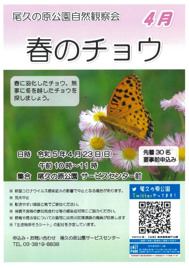 20230405075611のサムネイル