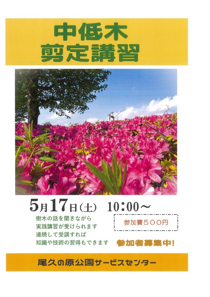 20250514150828のサムネイル