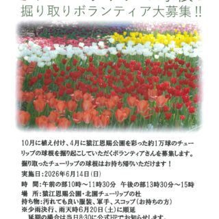 【猿江恩賜公園】6/14(日)チューリップ球根の掘り取りをします！ボランティア募集！