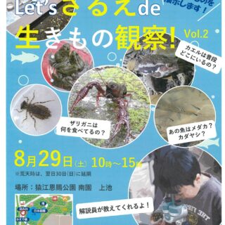 【猿江恩賜公園】Let’sさるえde生きもの観察！Vol.2開催します！