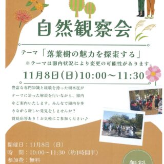 【猿江恩賜公園】11月8日(日)　「自然観察会」を開催します！