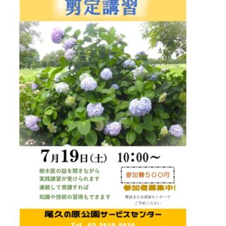 【尾久の原公園】大好評、中低木剪定講習！7月も開催します！