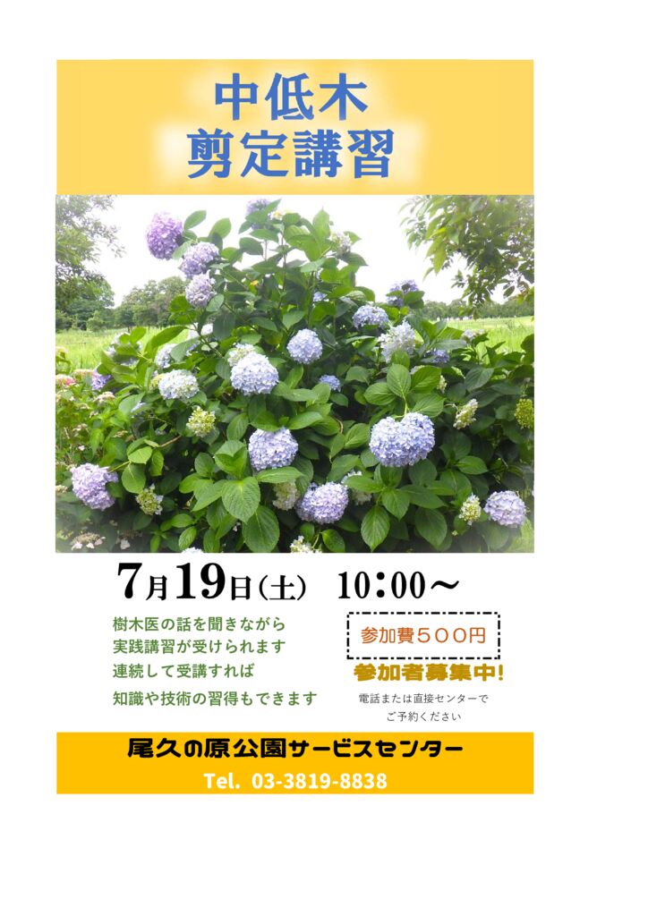 250719剪定講習チラシのサムネイル