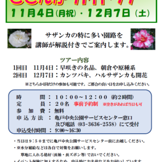 【亀戸中央公園】12/7(土)サザンカガイドツアー【2回目】を実施いたします！