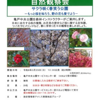 【亀戸中央公園】3/29（日）「自然観察会～サクラ咲く春笑う公園～」を開催します！
