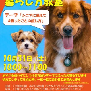 【宇喜田公園】10/31(土)わんちゃんとの暮らし方教室「シニアに備えて&困ったことの直し方」を開催します！