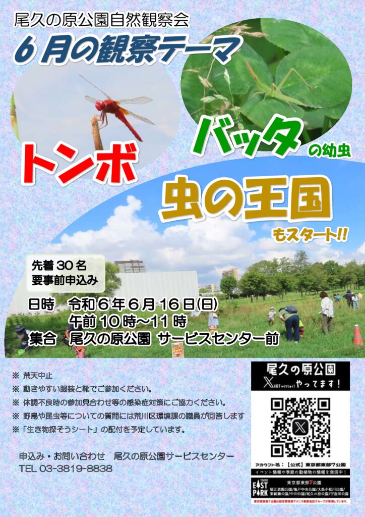 R060616都立尾久の原公園自然観察会ポスター2 (1)のサムネイル