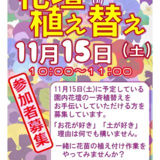 【尾久の原公園】花壇一斉植え替えボランティア　募集のお知らせ