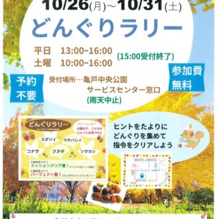 【亀戸中央公園】10/26（月）～10/31（土）に「どんぐりラリー」を開催します！