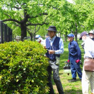 【尾久の原公園】9/19(土)に中低木剪定講習 「秋の切り替え剪定講習会」を開催します！