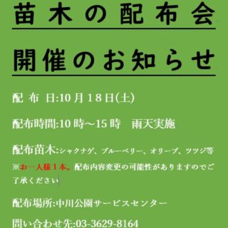 【中川公園】10/18(土) 苗木の配布会を開催します！