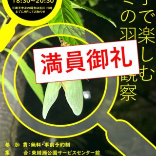 ※満員御礼【東綾瀬公園】7/25(金)自然観察会「親子で楽しむセミの羽化観察」を開催します！