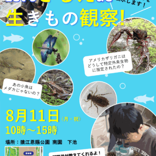 【猿江恩賜公園】８月１１日(月・祝)「Let’s さるえ de 生きもの観察！」開催のお知らせ