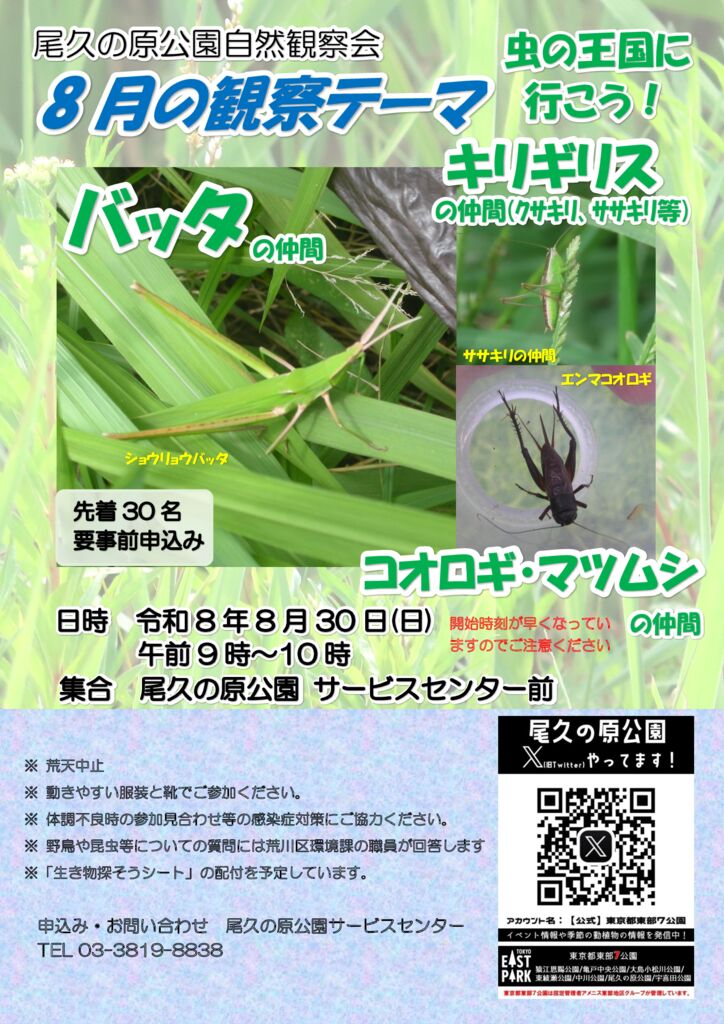 R08830都立尾久の原公園自然観察会ポスターのサムネイル