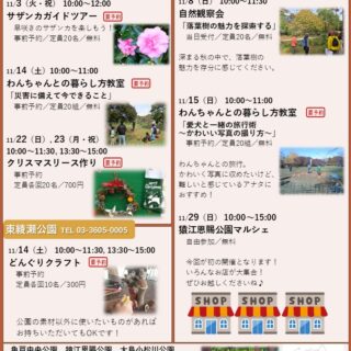 １１月のイベント情報