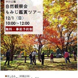 【中川公園】自然観察会　もみじ鑑賞ツアーのお知らせ