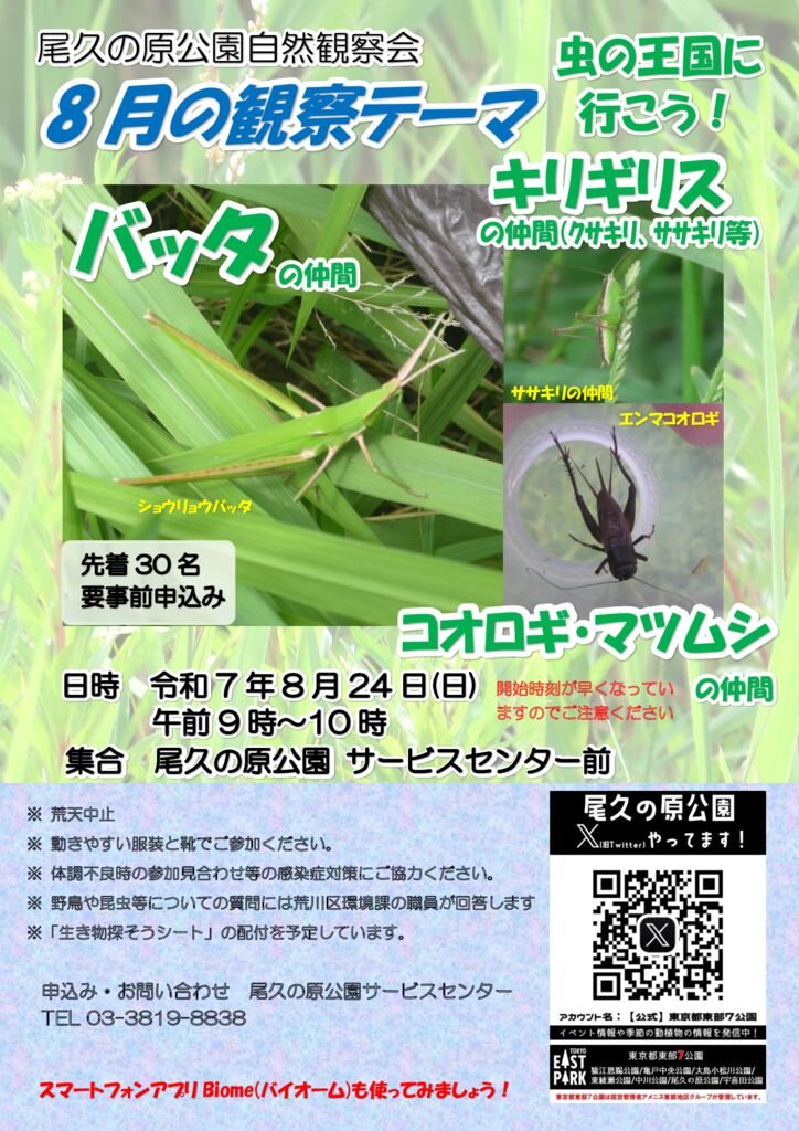 R070824都立尾久の原公園自然観察会ポスターのサムネイル