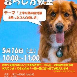 【尾久の原公園】5/16(土)わんちゃんとの暮らし方教室「上手な熱中症対策&困ったことの直し方」を開催します！