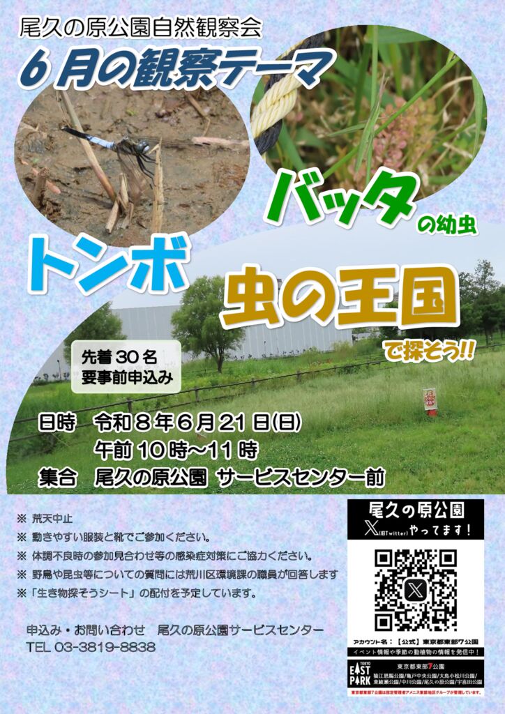 R080621都立尾久の原公園自然観察会ポスターのサムネイル